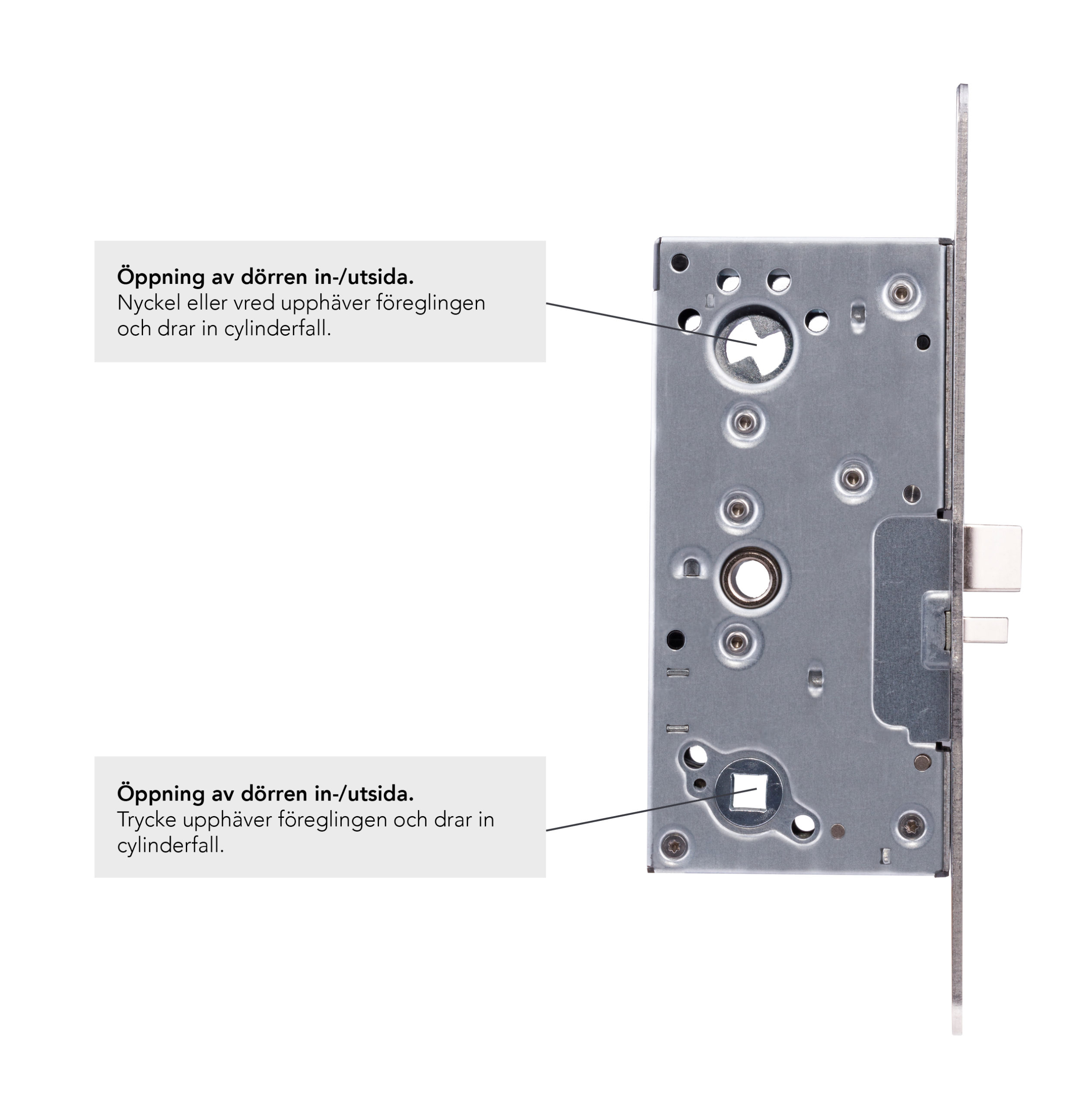 LÅSHUS STEP M36 ENKELFALL DORN 50 MM ELFÖRZ